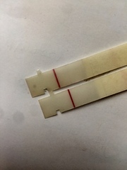 9dpo faint line on First Response Rapid Results