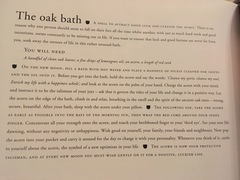 Any Witches Here Part 5.