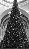 Ghosts of Christmas Past