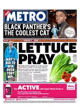 Westminstenders: The English Gentleman and Martial Law