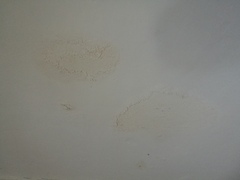 Damp but what kind?