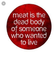 To ask what you think about these vegan protests