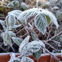 Snow watch winter 2018/19 part 2