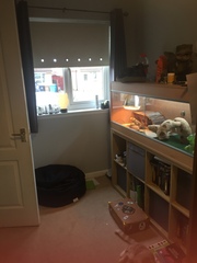 To ask for your amazing box room solutions?