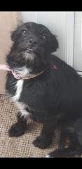 The ugliest and prettiest pictures of your pets.