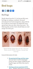 Bed bugs? Warning - Gross photos attached