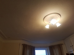 Old ceiling help - what are my options?