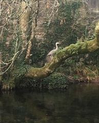 Any Witches Here Part 5.