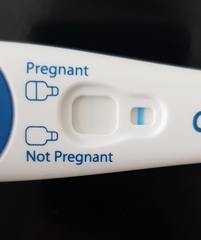 Positive Tests But My Period Arrived On Time Today?!