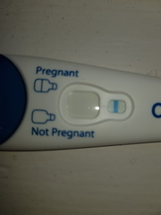 Is my cervix high or low?