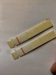 9dpo faint line on First Response Rapid Results