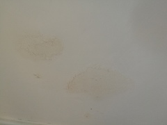 Damp but what kind?