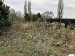 Allotment book for absolute beginner?