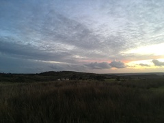 Any Witches Here Part 5.