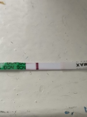 Can anyone see this?
