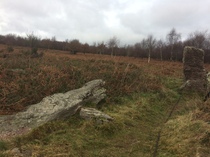 Any Witches Here Part 5.