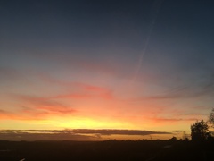 Any Witches Here Part 5.