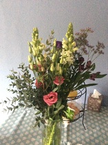 Free Freddie flowers