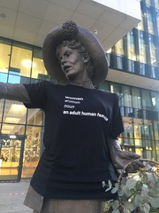 ReSisters standing up for adult human females **Thread title edited by MNHQ**