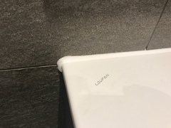Would you be happy with this mastic?