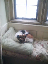 Westminstenders: Stalemate