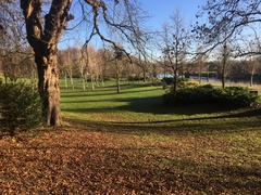 New Year, New Start. Probably dries and lows as we Tryers to be Dryers try 2019.