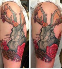 Photos of your tattoos?