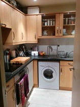 Has anyone successfully painted kitchen cupboards?