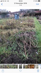 Allotment?Veg Patch Thread 13! Are we weathering the weather?