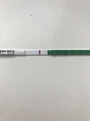 Dreaded evap lines.