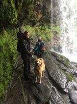 Mumsnet users share how their pet is part of the family with Animal Friends Insurance