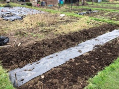 Allotment?Veg Patch Thread 13! Are we weathering the weather?