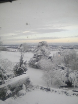 Westminstenders: Stalemate