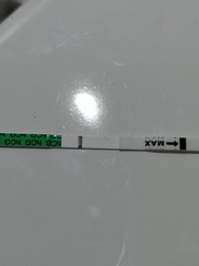 Can anyone see this?