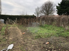 Allotment book for absolute beginner?