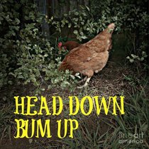 Head down, a** up?