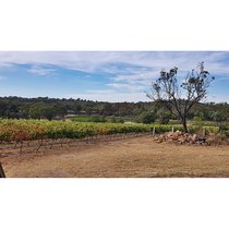 Any Witches Here? Part 6