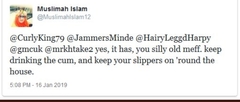 Is MuslimajhIslam12 doctor Harrop's sock? What's the evidence? Break it down for me