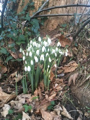 Any Witches Here Part 5.