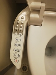 To think this hotel toilet is hilariously insane?