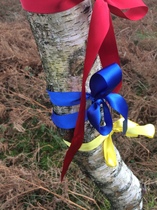 Any Witches Here Part 5.