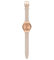 What watch to replace Daniel wellington?