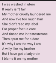 Harry the owl visited by police