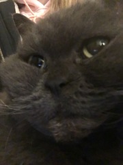 Westminstenders: What The Hell Happens Next?!