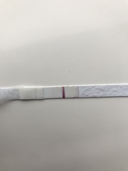 3 positive tests 2 days ago. Now all negative