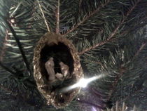 Ghosts of Christmas Past