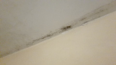 Partner no bio children of his own-anybody the same?