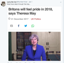 To want a humane method of getting rid of mice?