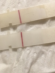9dpo faint line on First Response Rapid Results