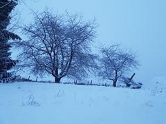 To wish it would snow heavily?